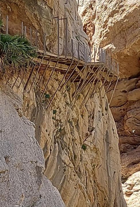 Photo of Others in Casarabonela