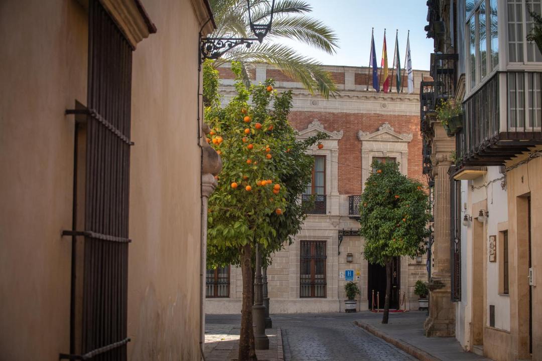 Photo of Others in Jerez de la Frontera Old Town