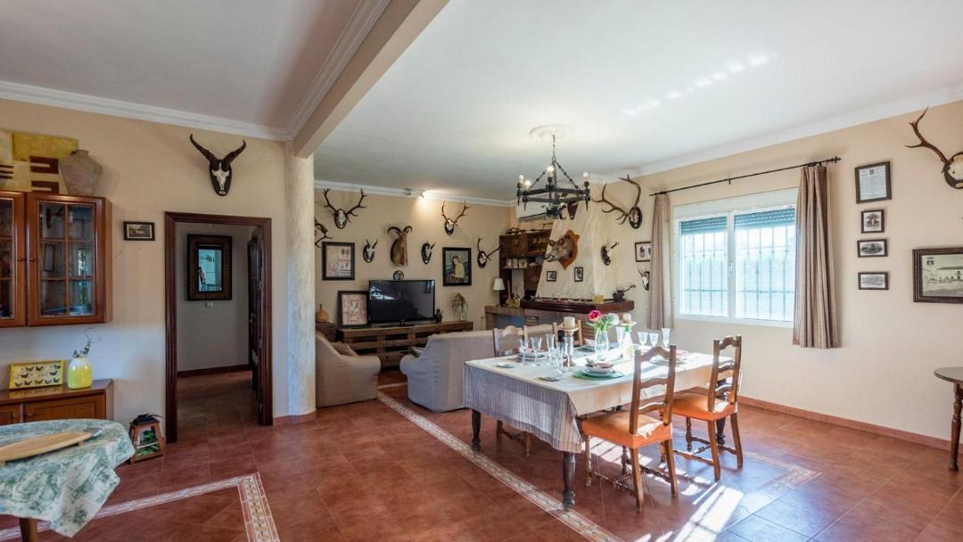 Photo of Livingroom in Aznalcazar
