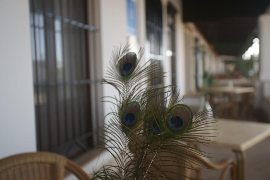 Photo of Others in El Rocio