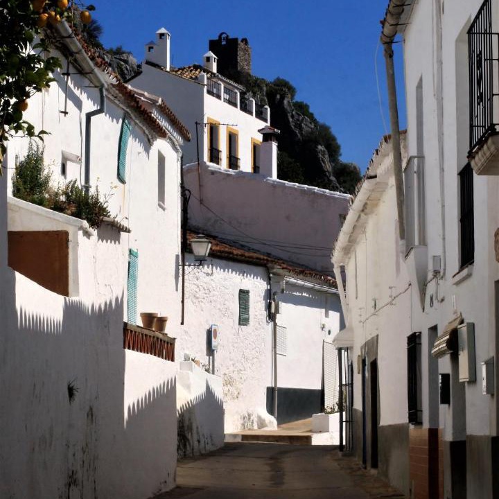 Photo of Others in Gaucin