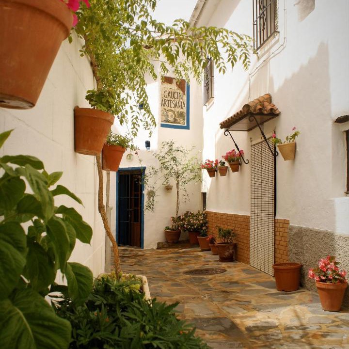 Photo of Others in Gaucin