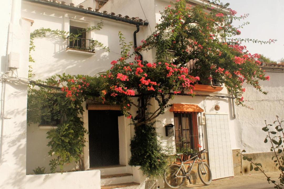 Photo of Others in Gaucin