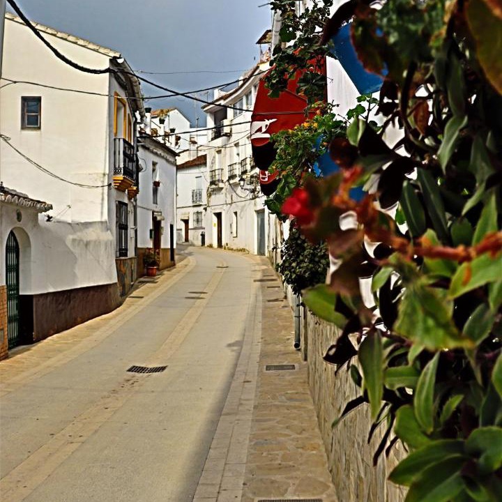 Photo of Others in Gaucin