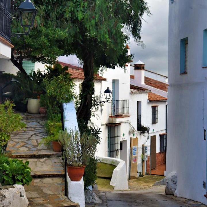 Photo of Others in Gaucin