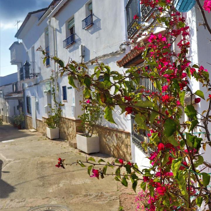 Photo of Others in Gaucin