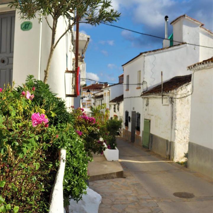 Photo of Others in Gaucin