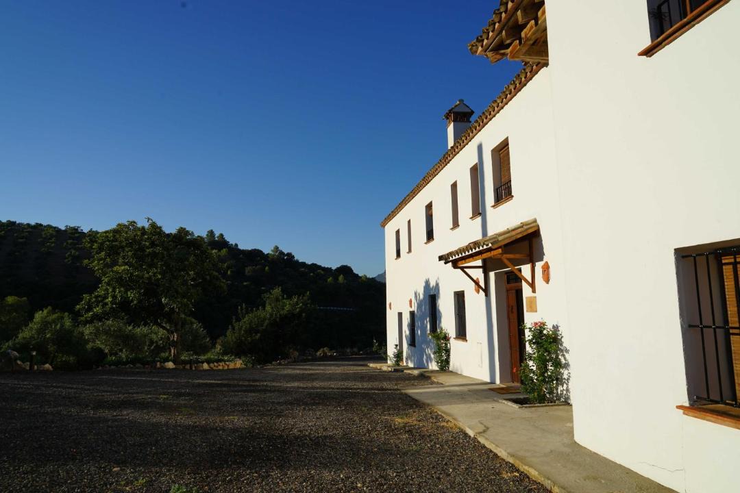 Photo of Buildings in Algodonales
