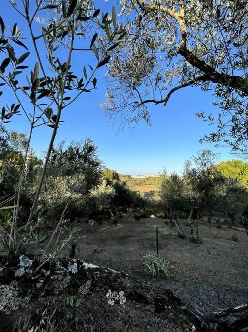 Photo of Outdoor in Cazalla De La Sierra