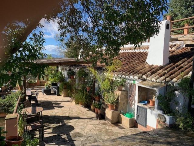 Photo of Others in Antequera