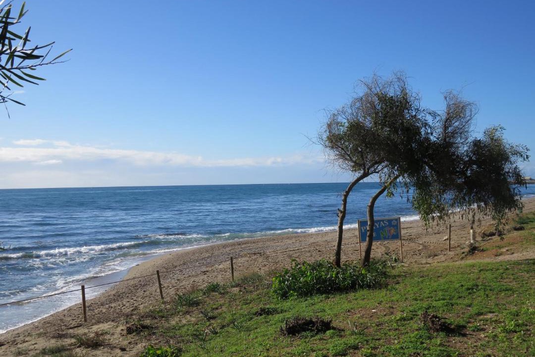 Photo of Others in Marbella