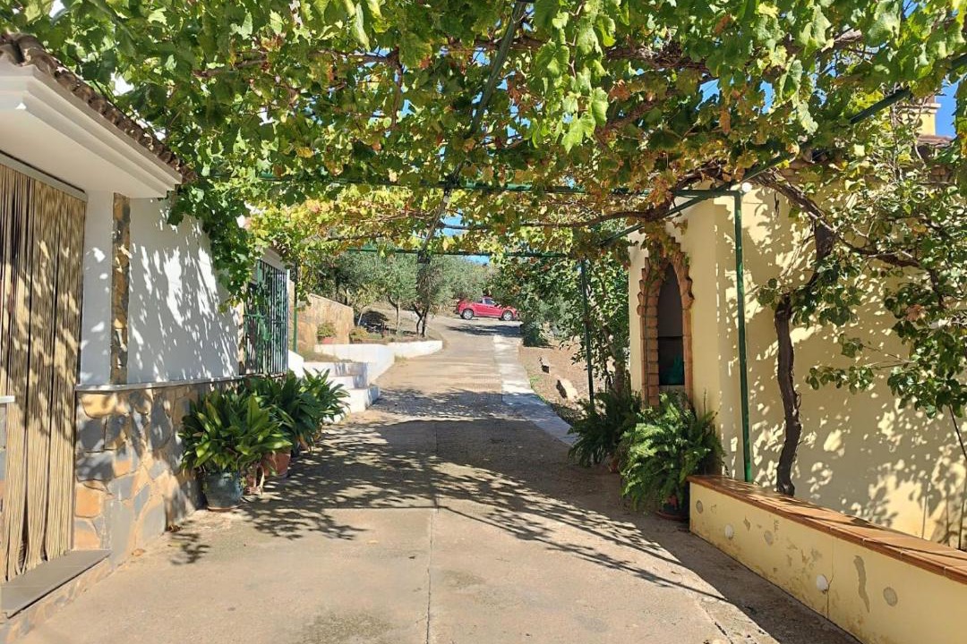 Photo of Others in Cortes de la Frontera