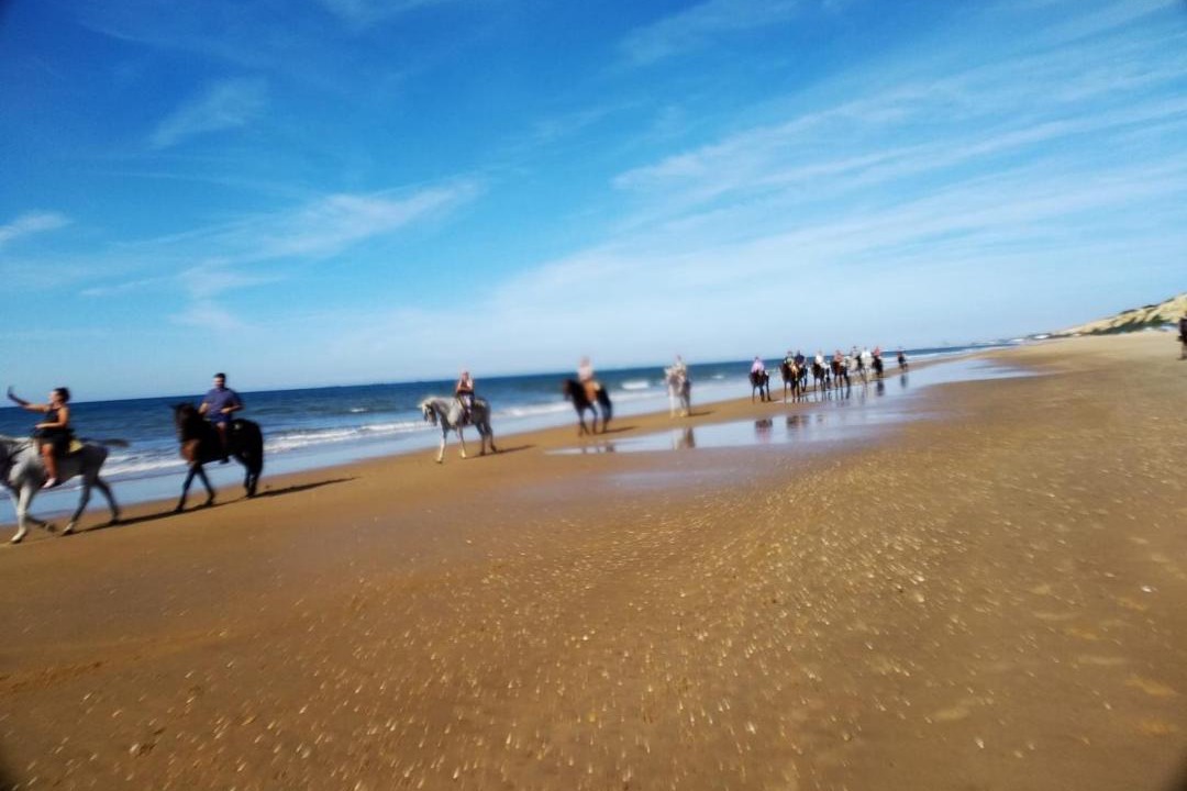 Photo of Others in Mazagon