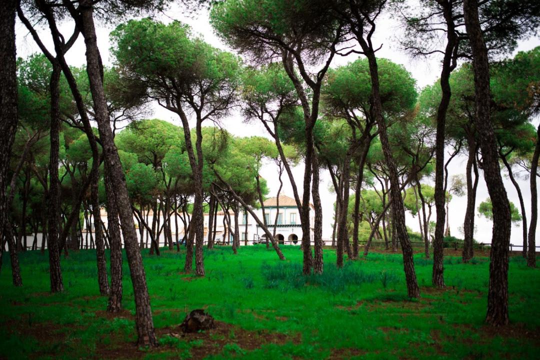 Photo of Others in Alcala de Guadaira