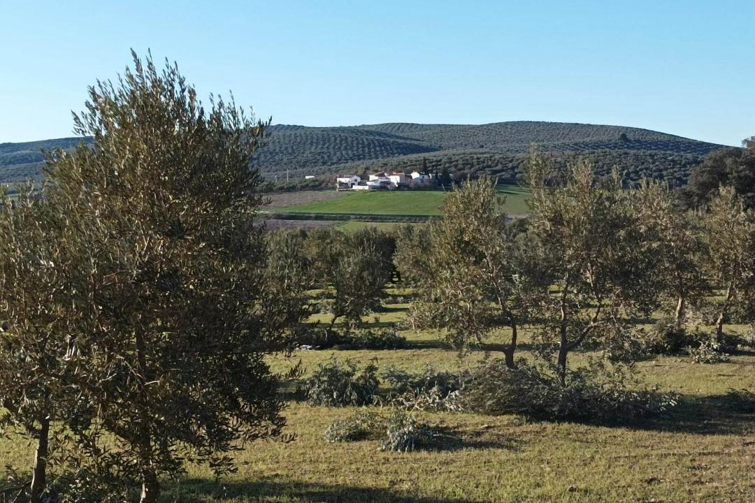 Photo of Others in Villanueva del Trabuco