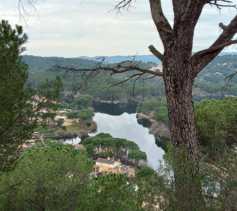 Photo of Others in Las Jaras
