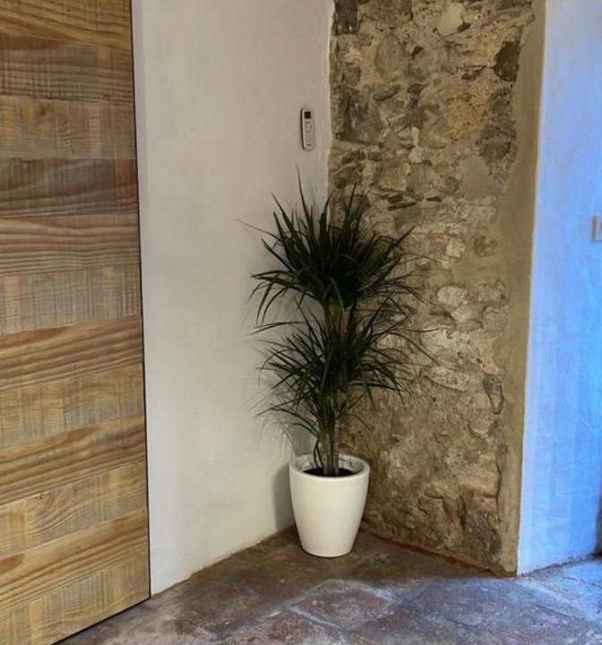 Photo of Others in Grazalema