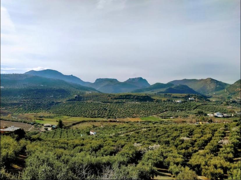 Photo of Outdoor in Priego de Cordoba