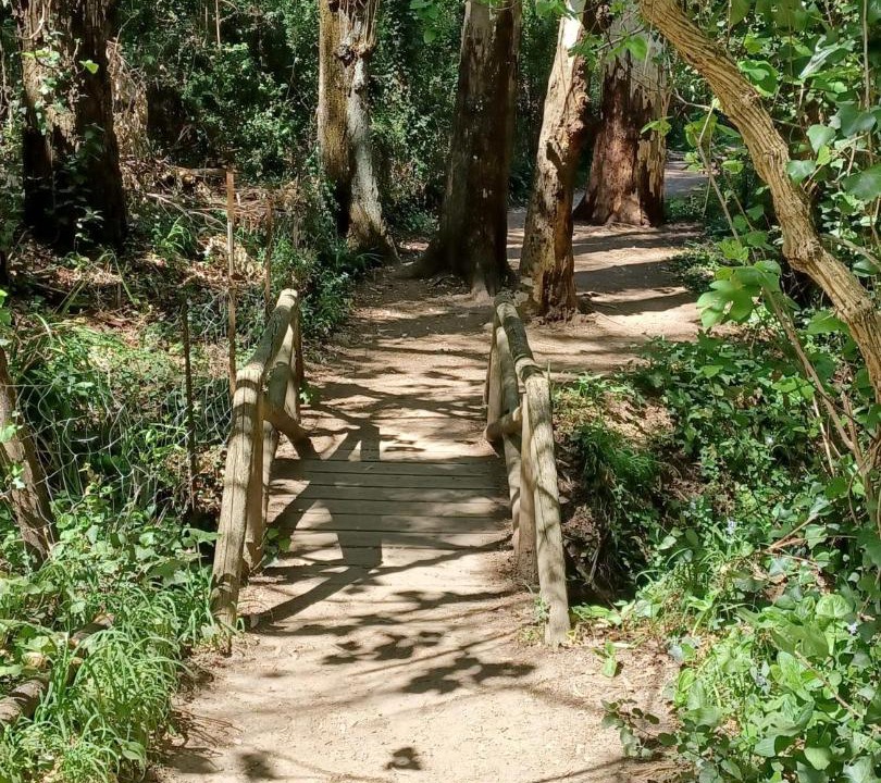 Photo of Others in El Bosque