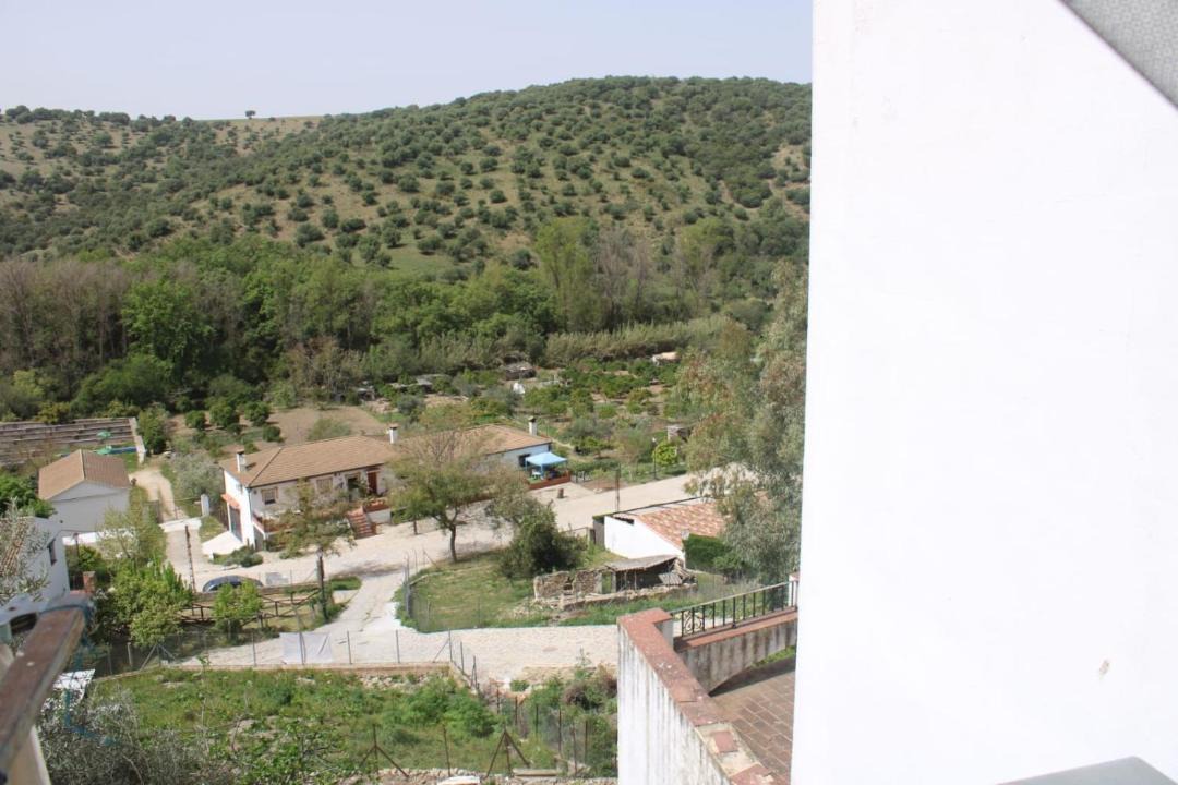 Photo of Others in El Bosque