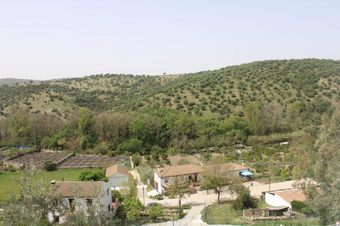 Photo of Others in El Bosque