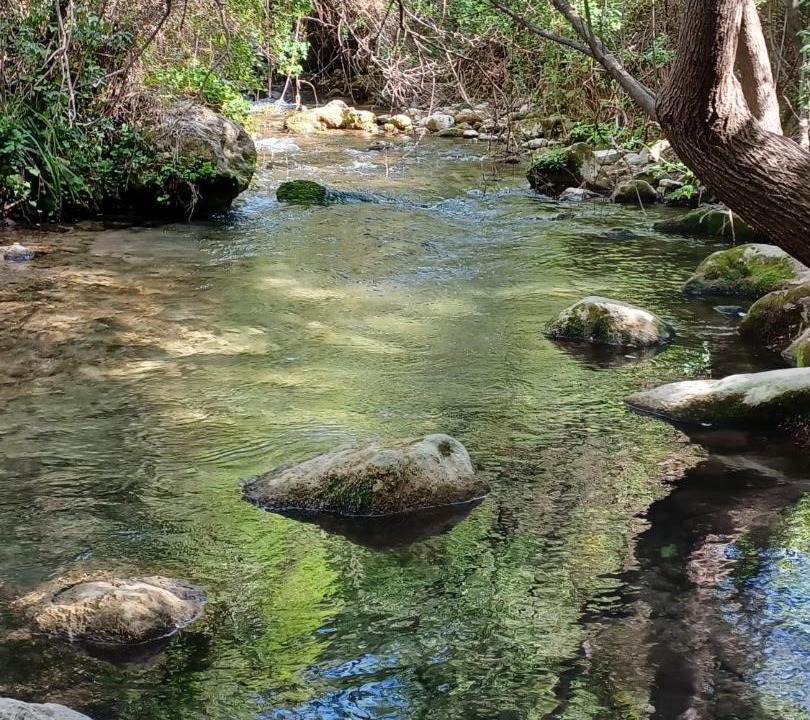 Photo of Others in El Bosque