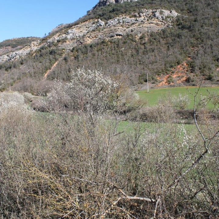 Photo of Others in Tobera