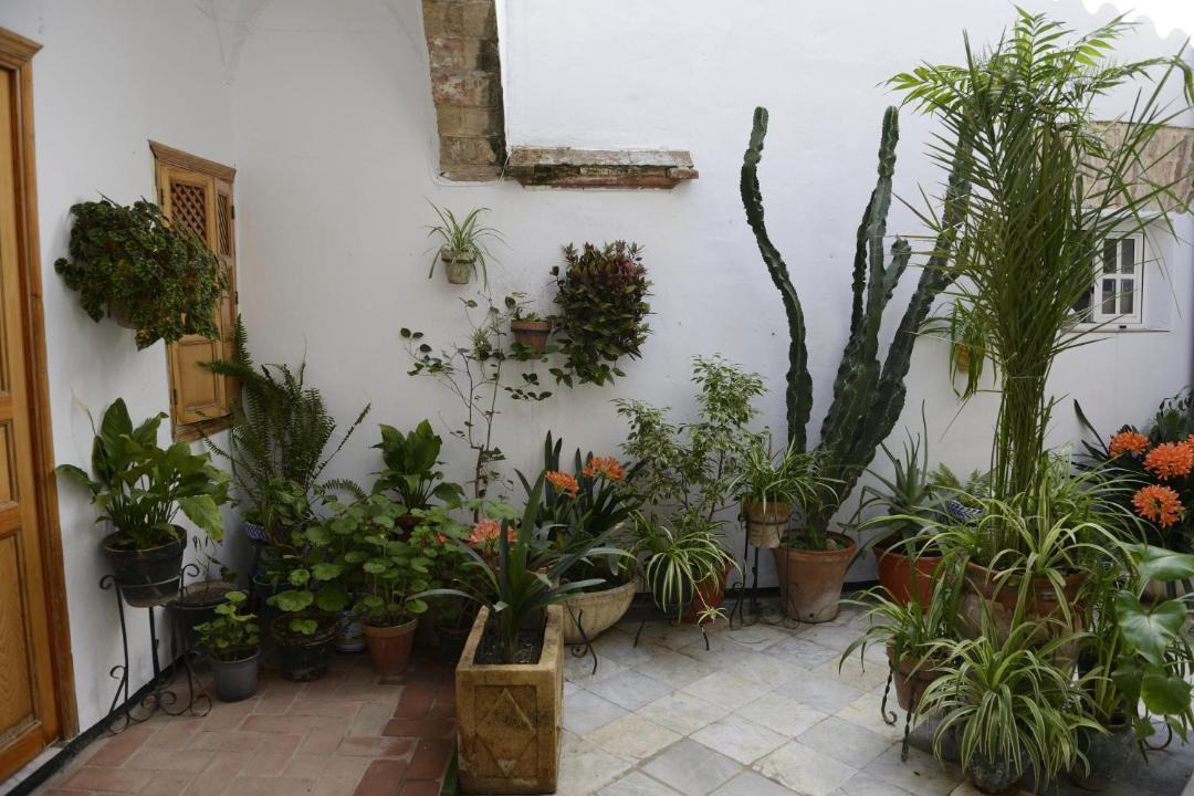 Photo of Patio Balcony in Arcos de la Frontera