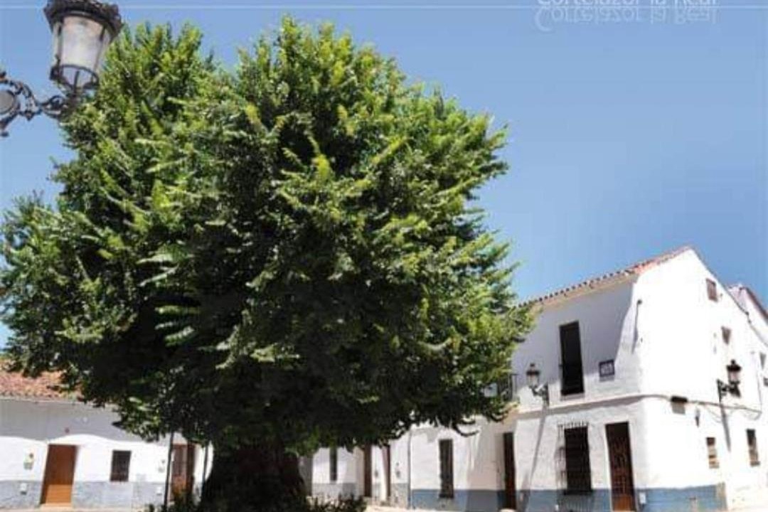 Photo of Buildings in Cortelazor