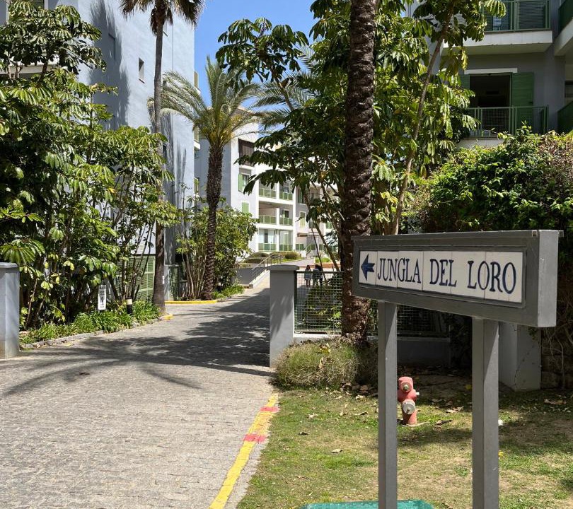Photo of Others in Sotogrande