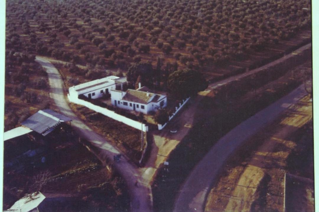 Photo of Others in Marmolejo
