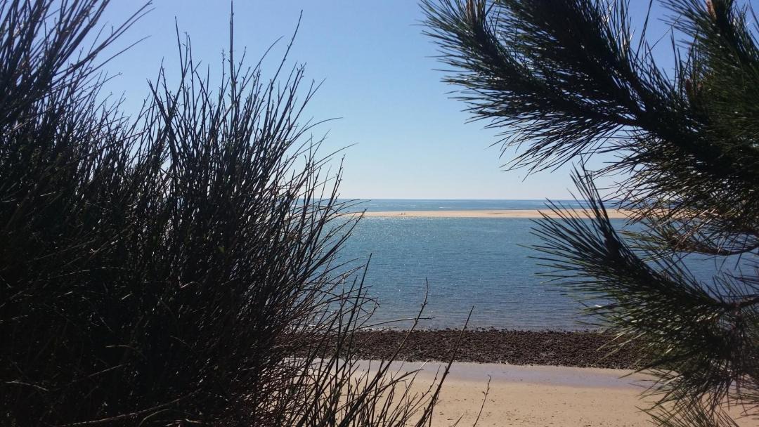Photo of Outdoor in Cartaya