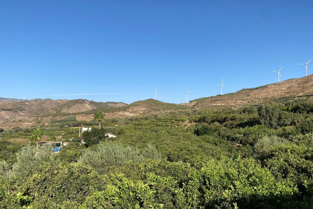 Photo of Outdoor in Murchas