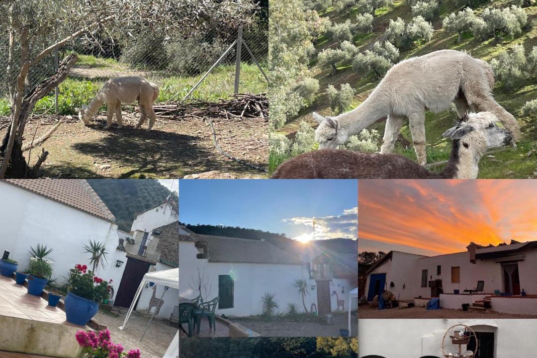 Photo of Others in Montoro