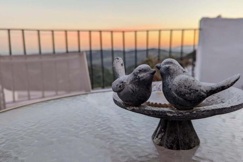 Photo of Others in Casares
