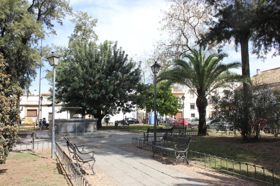 Photo of Others in Distrito Centro