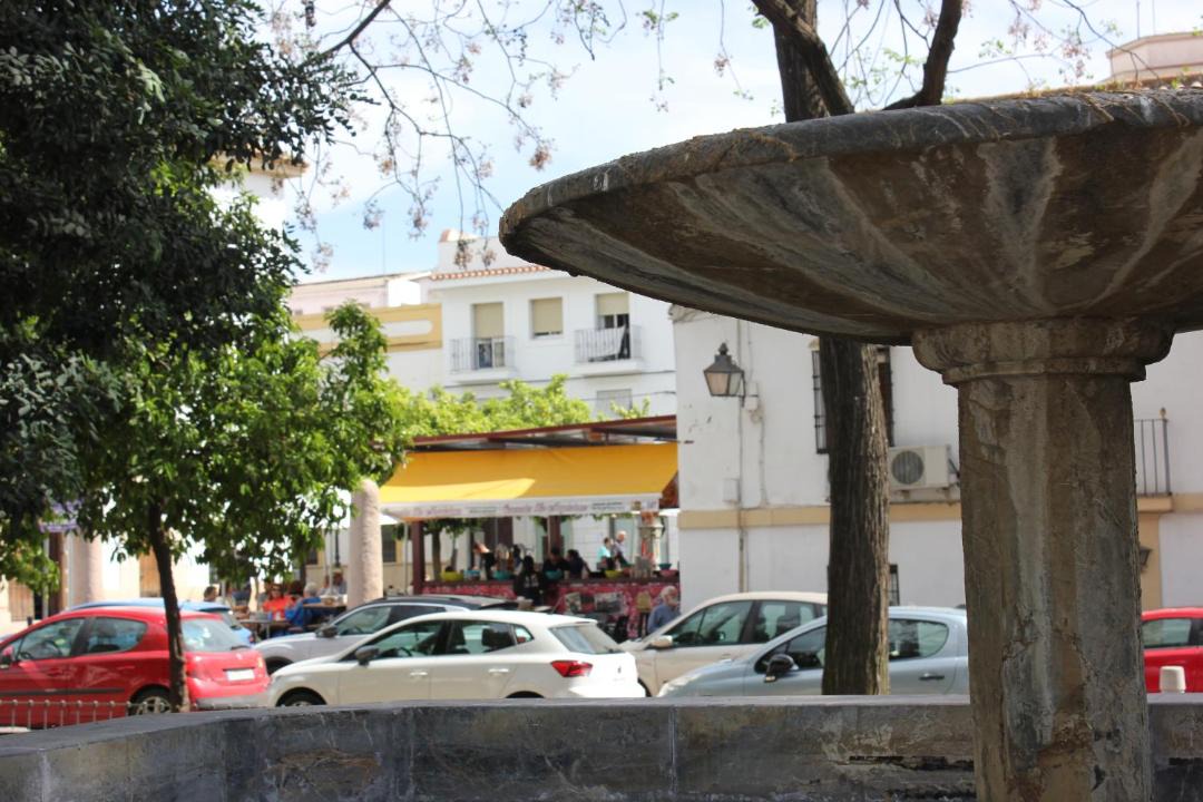 Photo of Others in Distrito Centro