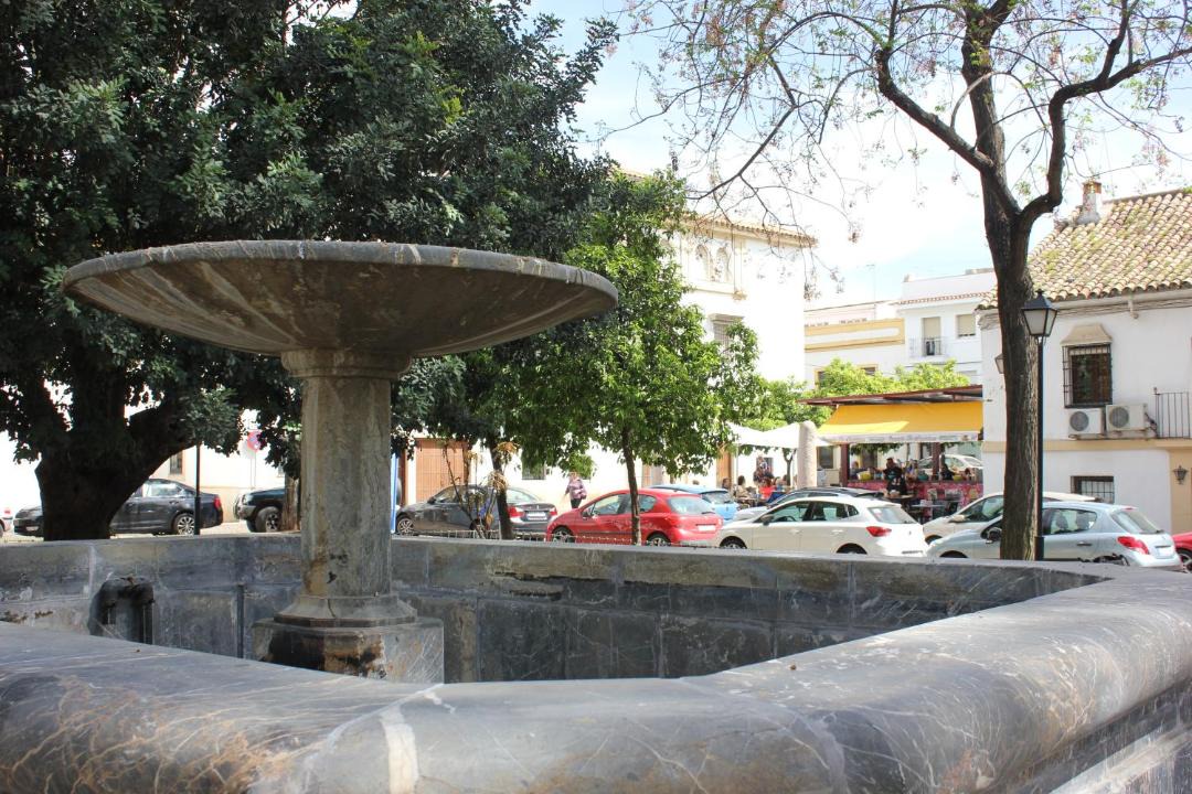 Photo of Others in Distrito Centro