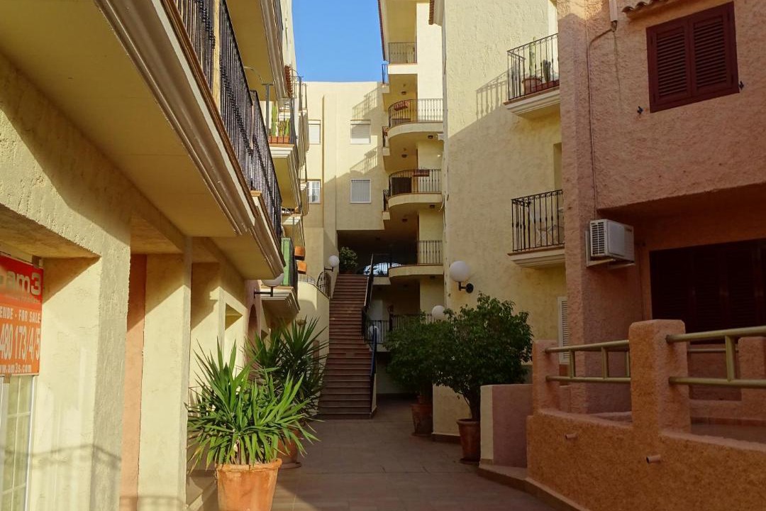 Photo of Others in Villaricos