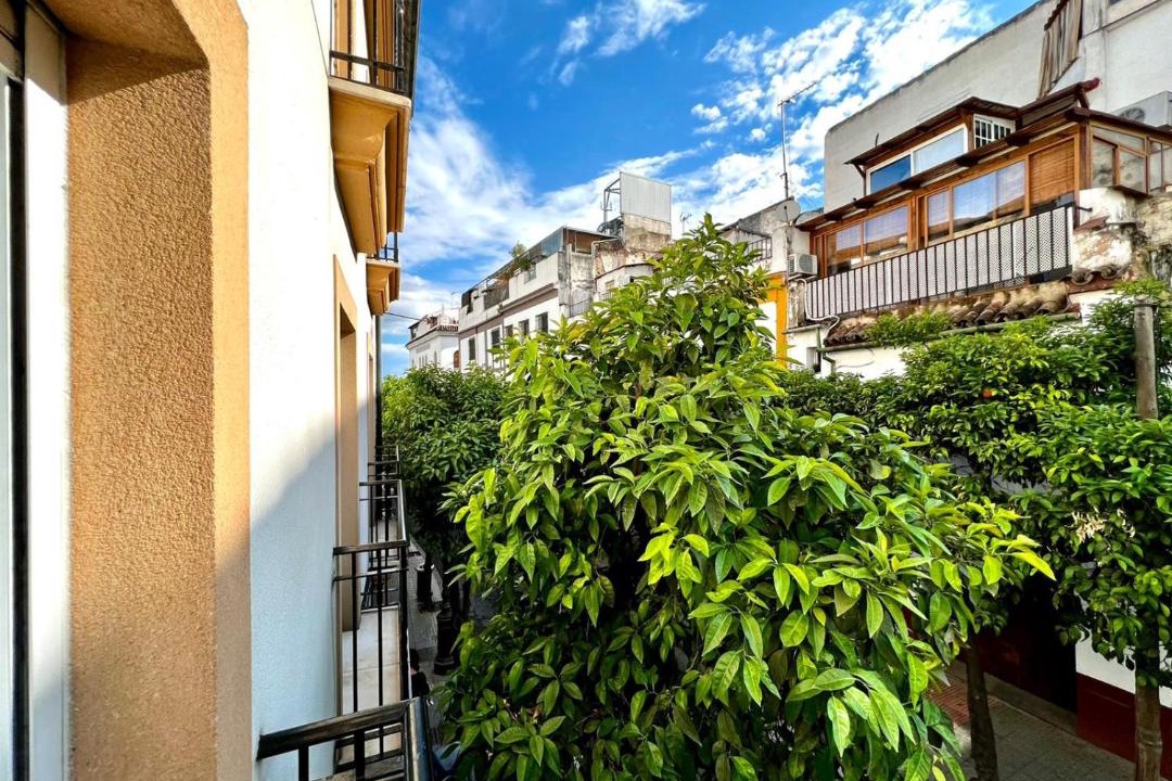 Photo of Patio Balcony in San Francisco-Ribera