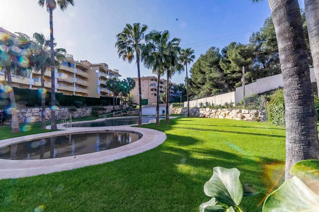 Photo of Others in Torreblanca