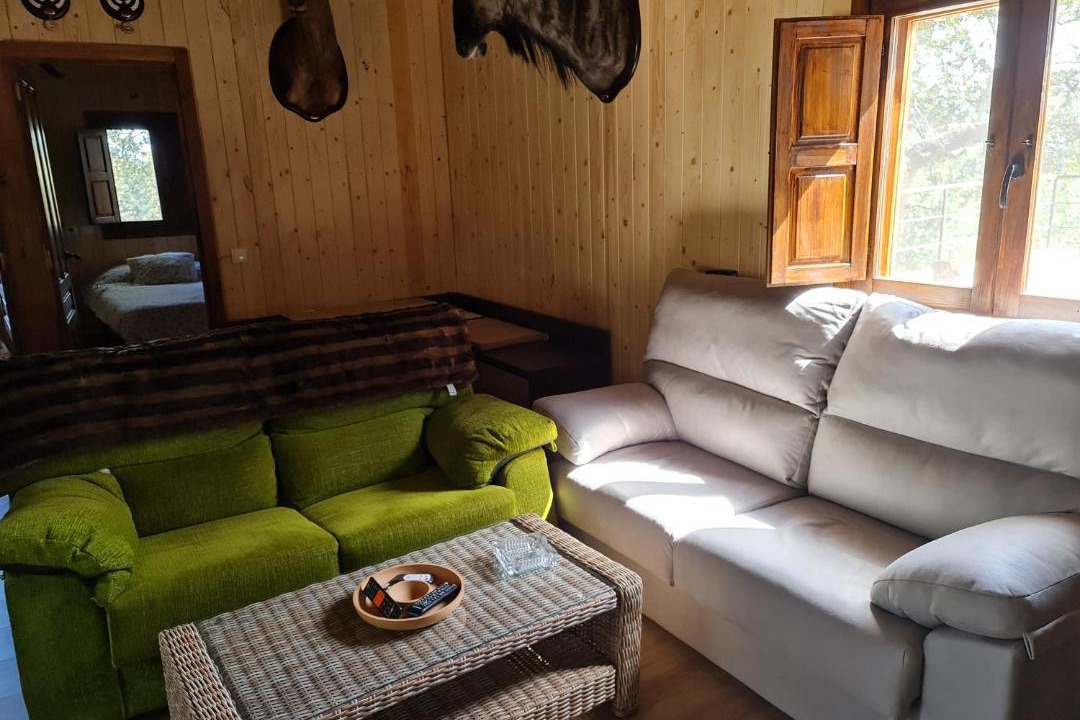 Photo of Livingroom in La Puebla de los Infantes