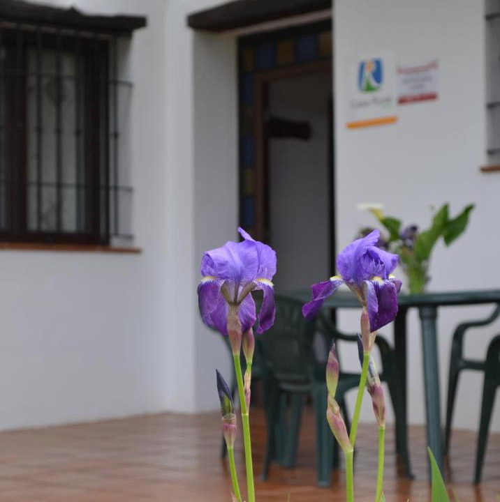 Photo of Others in Aracena