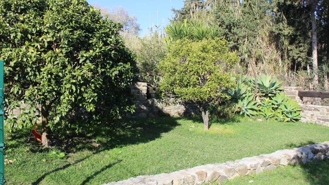 Photo of Others in Bolonia