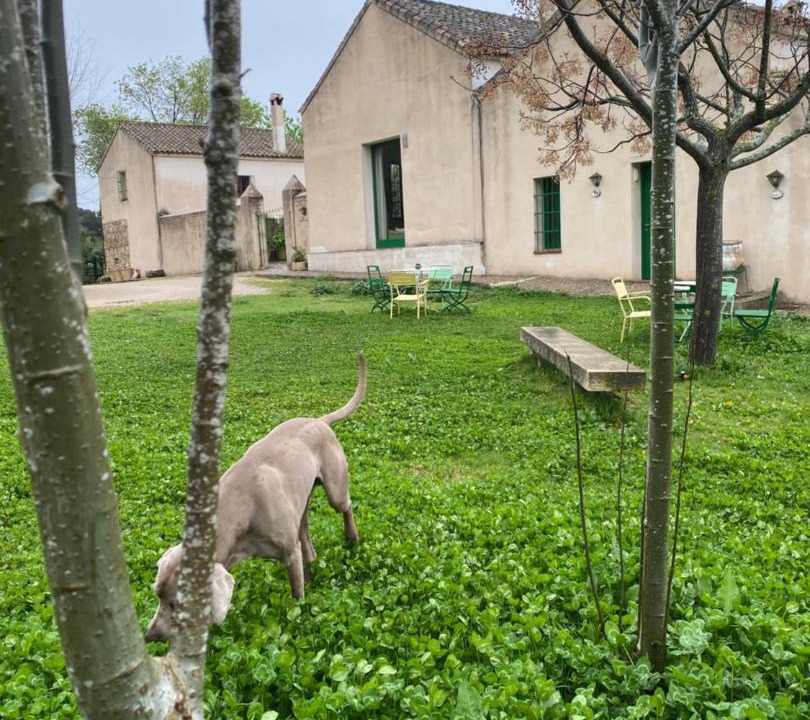 Photo of Others in El Bosque