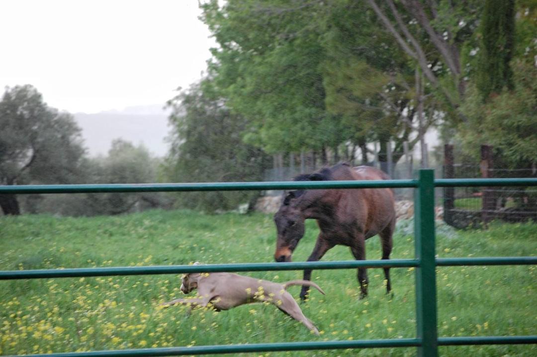 Photo of Others in El Bosque