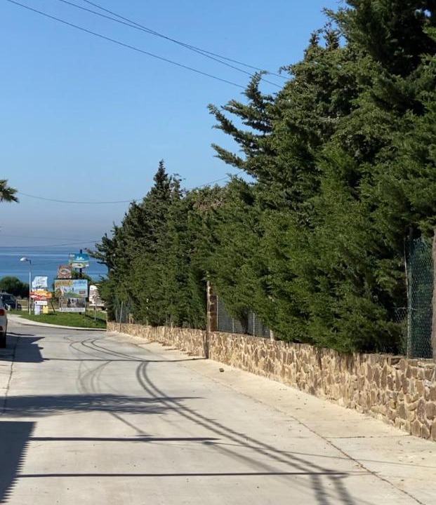 Photo of Others in Bolonia