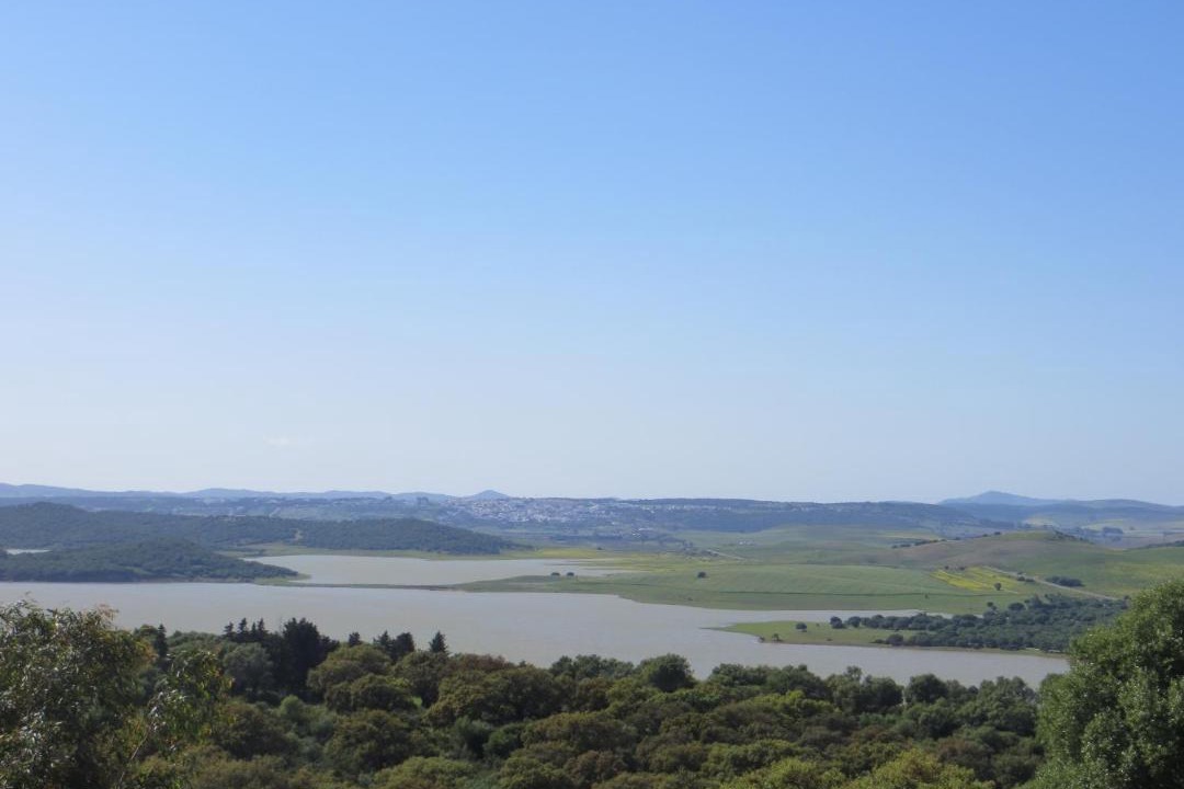 Photo of Others in Medina-Sidonia