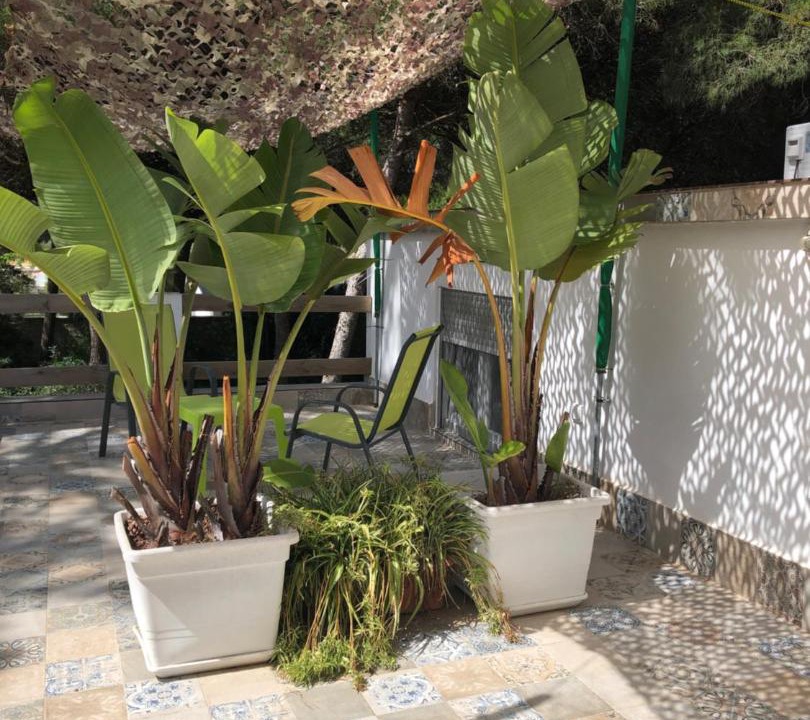 Photo of Others in Chiclana de la Frontera