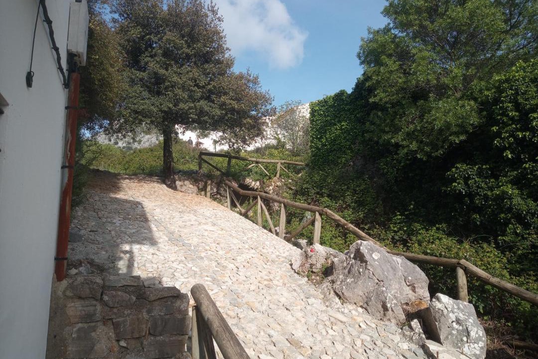 Photo of Others in Benaocaz
